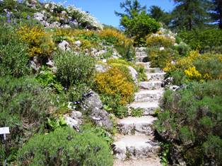 Visit the botanical garden in Munich