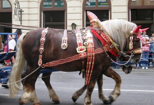 Beautifully decorated workhorse