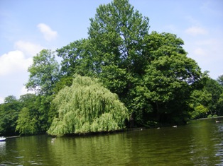 One of the three islands in the Kleinhesseloher Lake