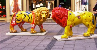 Two lions fighting for the best place to stay