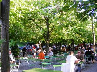 Michaeli Beer Garden