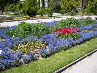 Garden with seasonal flowers