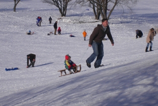 Sledding hills Munich